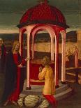 St. Jerome-Jacopo Del Sellaio-Giclee Print