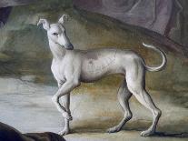 Dog-Jacopo Guarana-Framed Giclee Print