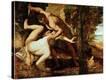 Stretched Canvas Print