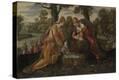 Stretched Canvas Print