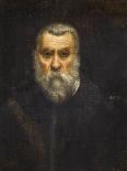 Portrait of a Venetian, C.1550-Jacopo Robusti Tintoretto-Giclee Print