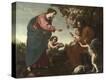 Stretched Canvas Print
