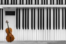 Cello at the Door-Jacqueline Hammer-Photographic Print