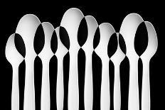 Spoons Abstract: Forest-Jacqueline Hammer-Photographic Print