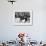 Jacqueline Kennedy, Riding a Horse in Waterford, Ireland, Jun 16, 1967-null-Framed Photo displayed on a wall