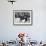 Jacqueline Kennedy, Riding a Horse in Waterford, Ireland, Jun 16, 1967-null-Framed Photo displayed on a wall