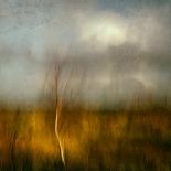Dense Fog-Jacqueline van Bijnen-Framed Premier Image Canvas