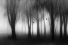 Dense Fog-Jacqueline van Bijnen-Giclee Print