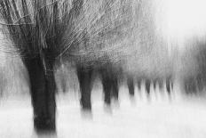 Dancing Tree-Jacqueline van Bijnen-Photographic Print