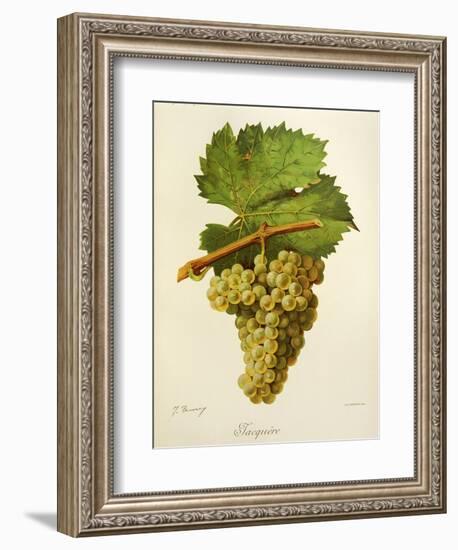 Jacquere Grape-J. Troncy-Framed Giclee Print