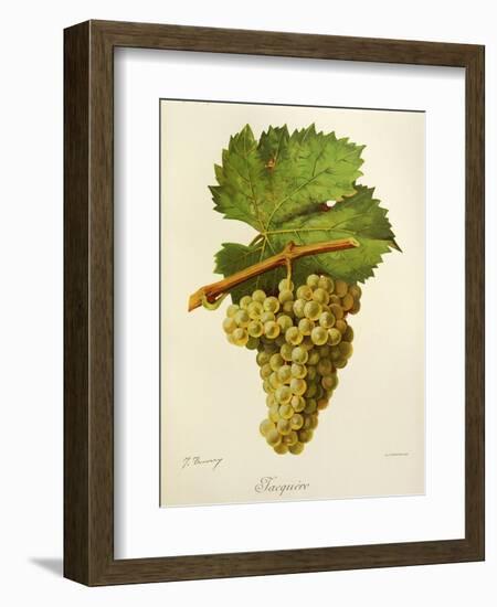 Jacquere Grape-J. Troncy-Framed Giclee Print