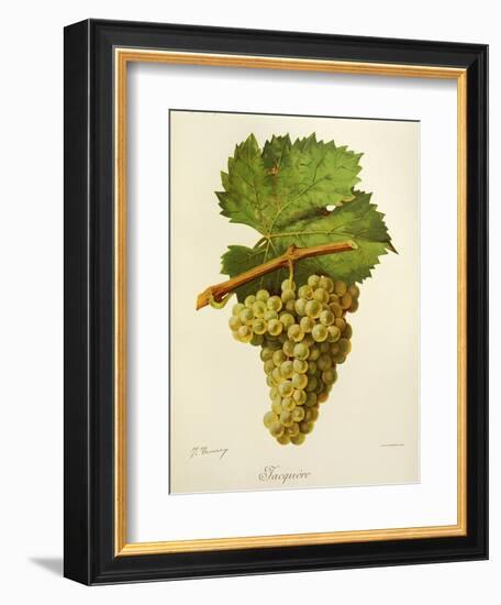 Jacquere Grape-J. Troncy-Framed Giclee Print