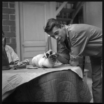 'Jacques Brel Cuddling His Cat, September 1959' Photographic Print - Marcel  Begoin | Art.com