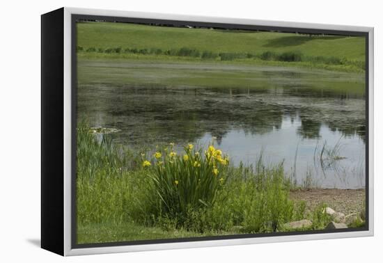 Jacques Cartier's Landing Place on the St Lawrence River in Quebec-null-Framed Premier Image Canvas
