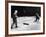 Jacques D'Amboise During Rehearsal-John Dominis-Framed Premium Photographic Print