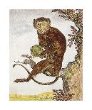 Monkey III-Jacques de Seve-Premium Giclee Print