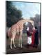 Giclee Print