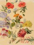Studies of Summer Flowers-Jacques-Laurent Agasse-Giclee Print
