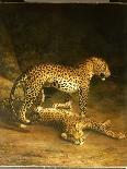 Two Leopards Lying in the Exeter Exchange, 1808-Jacques-Laurent Agasse-Giclee Print