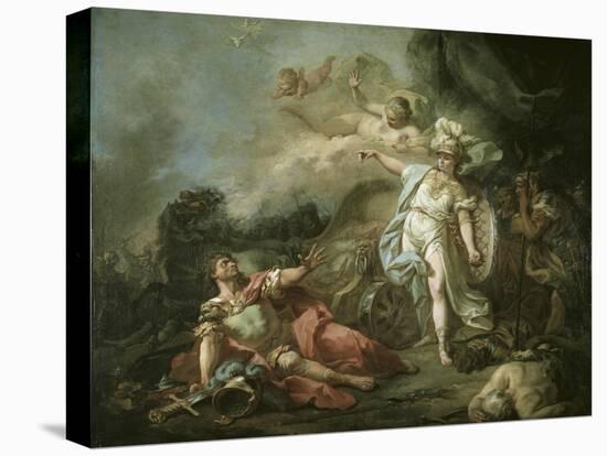 Stretched Canvas Print, , large
