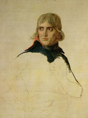 Premium AI Image  Napoleon Bonaparte French Emperor Portrait Famous person