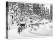 Stretched Canvas Print