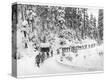 Stretched Canvas Print