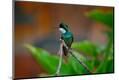 Premium Photographic Print