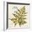 Jade Forest Leaf 1-Morgan Yamada-Framed Premium Giclee Print