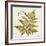 Jade Forest Leaf 1-Morgan Yamada-Framed Art Print