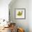 Jade Forest Leaf 2-Morgan Yamada-Framed Art Print displayed on a wall