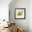 Jade Forest Leaf 2-Morgan Yamada-Framed Art Print displayed on a wall