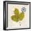 Jade Forest Leaf 2-Morgan Yamada-Framed Art Print