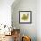 Jade Forest Leaf 2-Morgan Yamada-Framed Art Print displayed on a wall