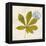 Jade Forest Leaf 3-Morgan Yamada-Framed Stretched Canvas