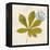 Jade Forest Leaf 3-Morgan Yamada-Framed Stretched Canvas