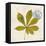 Jade Forest Leaf 3-Morgan Yamada-Framed Stretched Canvas