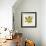 Jade Forest Leaf 3-Morgan Yamada-Framed Art Print displayed on a wall