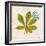 Jade Forest Leaf 3-Morgan Yamada-Framed Art Print