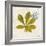 Jade Forest Leaf 3-Morgan Yamada-Framed Premium Giclee Print