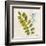 Jade Forest Leaf 4-Morgan Yamada-Framed Art Print