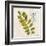 Jade Forest Leaf 4-Morgan Yamada-Framed Art Print