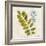 Jade Forest Leaf 4-Morgan Yamada-Framed Art Print