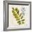 Jade Forest Leaf 4-Morgan Yamada-Framed Art Print