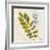 Jade Forest Leaf 4-Morgan Yamada-Framed Art Print