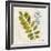 Jade Forest Leaf 4-Morgan Yamada-Framed Art Print