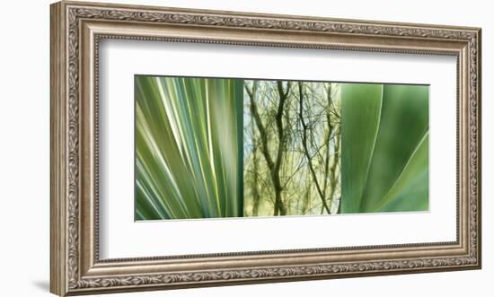 Jade Gardens-Sidney Aver-Framed Art Print