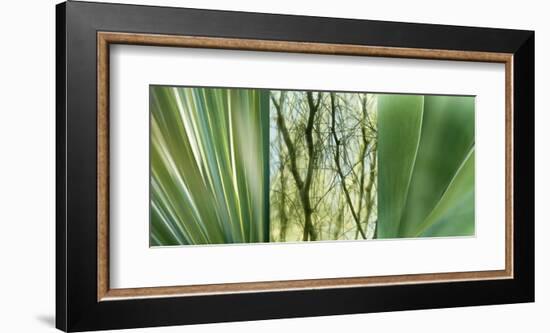 Jade Gardens-Sidney Aver-Framed Art Print