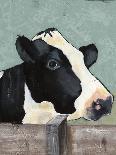 Holstein Cow II-Jade Reynolds-Art Print