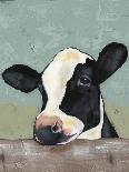 Holstein Cow II-Jade Reynolds-Framed Stretched Canvas